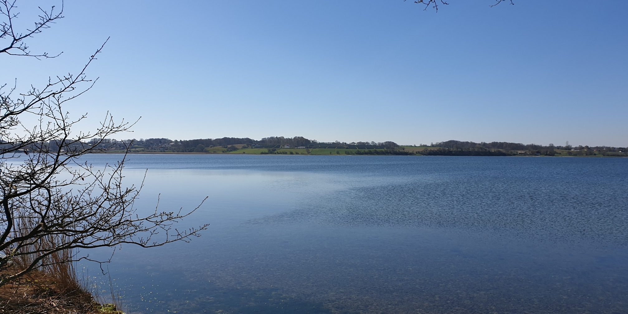 20190418_113909_resized